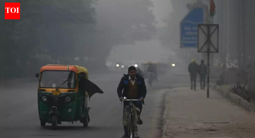 Winter may be chillier with more cold waves in parts of north: IMD