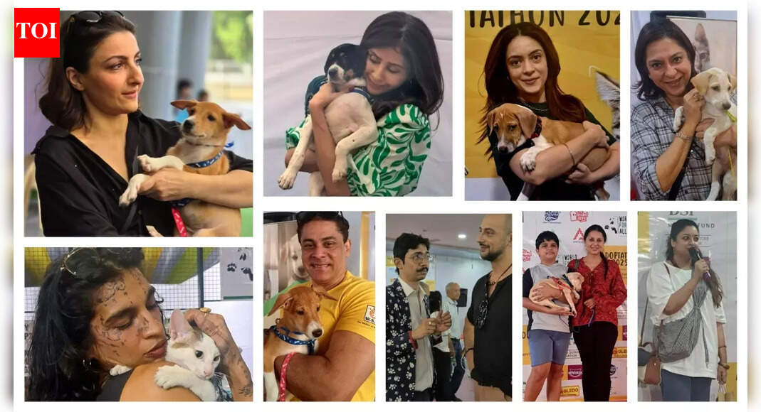 Celebs lend support to Adoptathon 2025