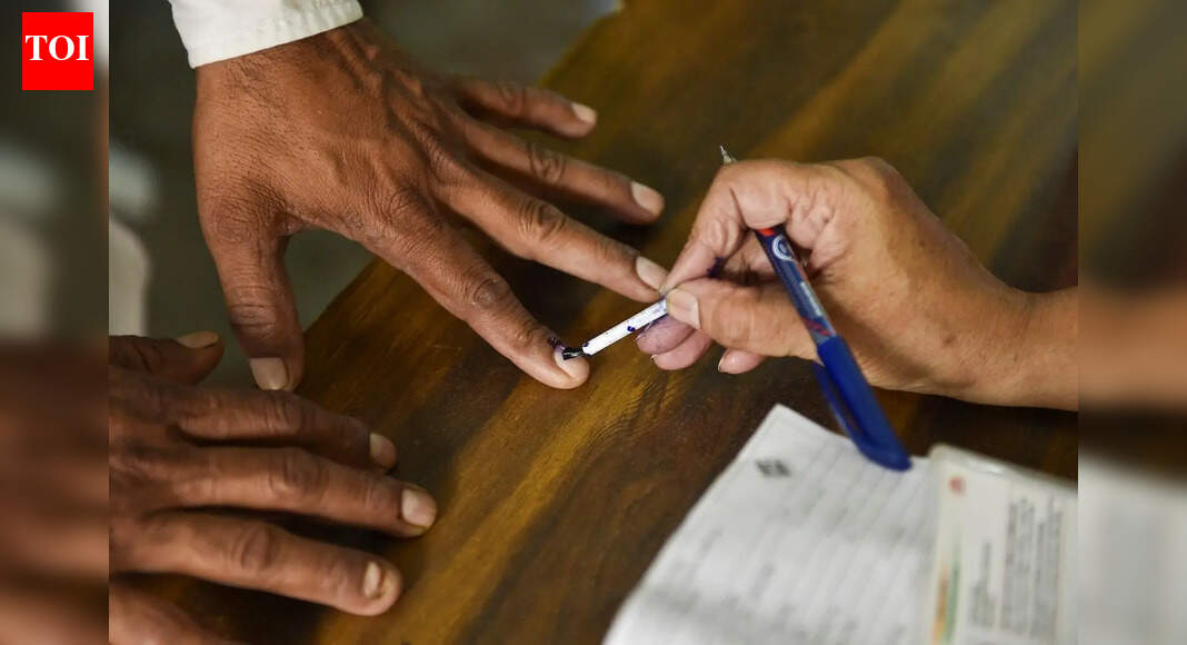 Bombay HC halts December 3 civic poll counting across Maharashtra, bars exit polls till December 20