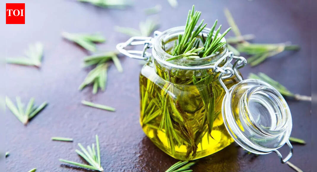 Rosemary oil can be your solution for hairfall and dandruff; know how to use | – The Times of India