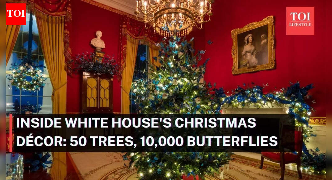 50 Christmas trees, 10,000 butterflies: Melania Trump gives a sneak peek of White House’s Christmas décor and theme