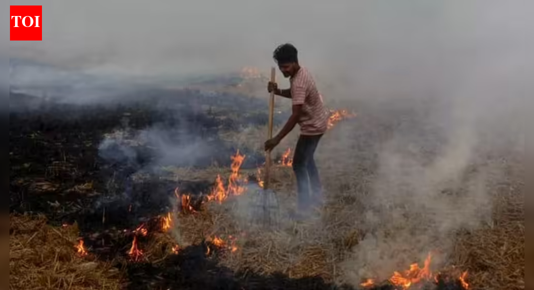 No Punjab district in farm-fire top 10; MP leads