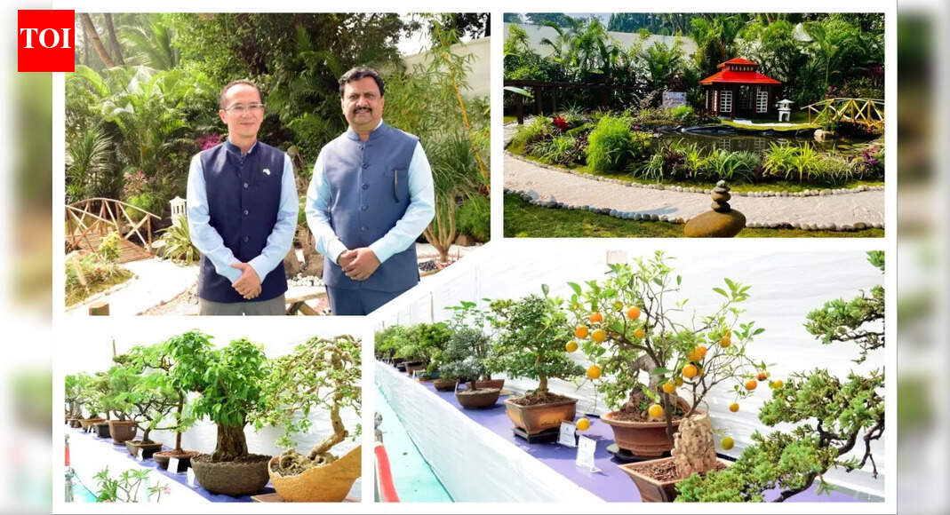 Miniature marvels: Bonsai & origami exhibition enchants Mumbaikars