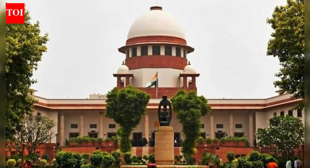 'Red carpet for intruders?' SC's sharp stance on Rohingya plea; questions legal basis