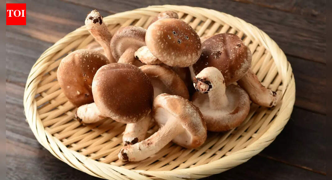 How to store mushrooms properly for freshness and flavour