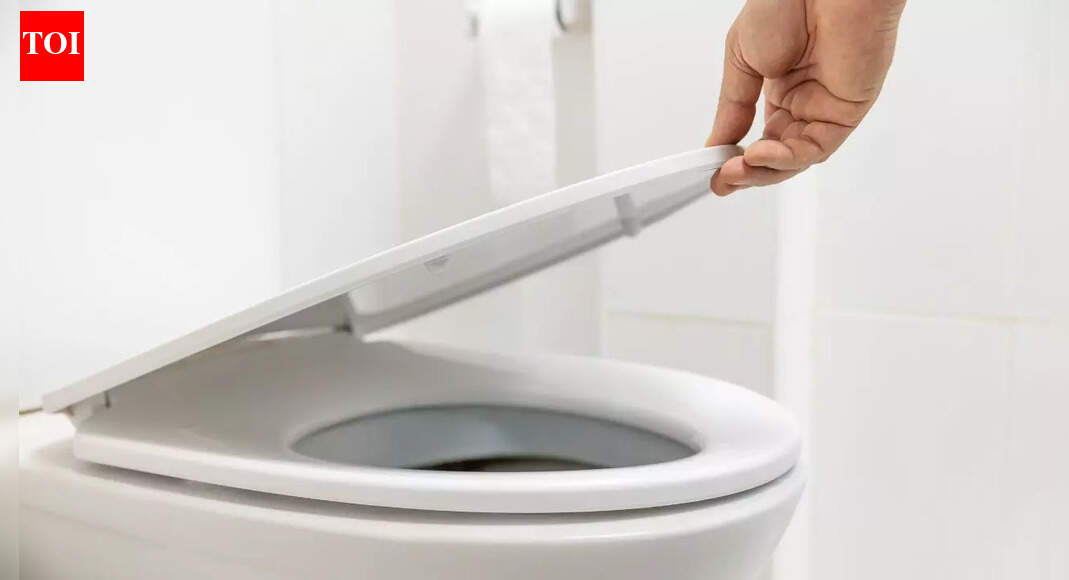 Should you keep the toilet seat lid up or down: What science says about hygiene, germs and flushing habits in shared bathrooms