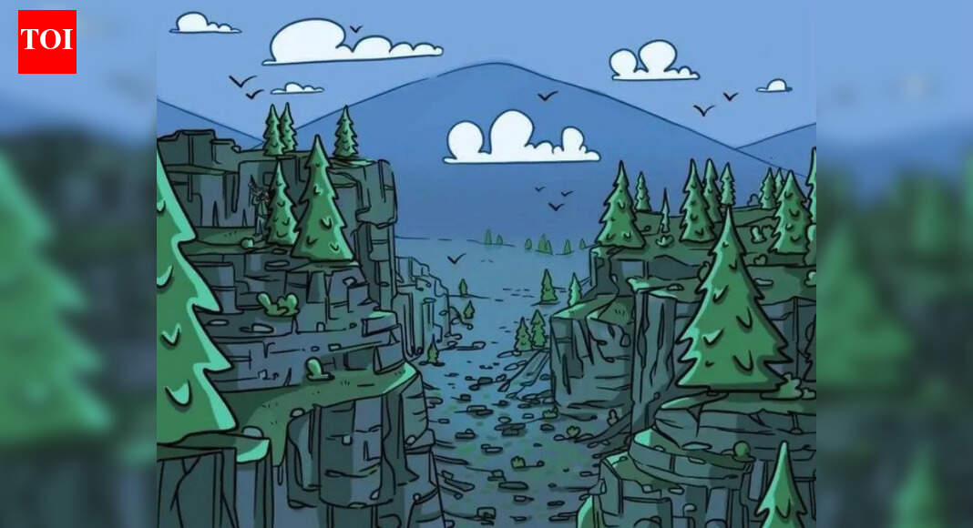 Optical Illusion: Everyone can see the trees but can you spot the hidden photographer in 7 seconds? | – The Times of India