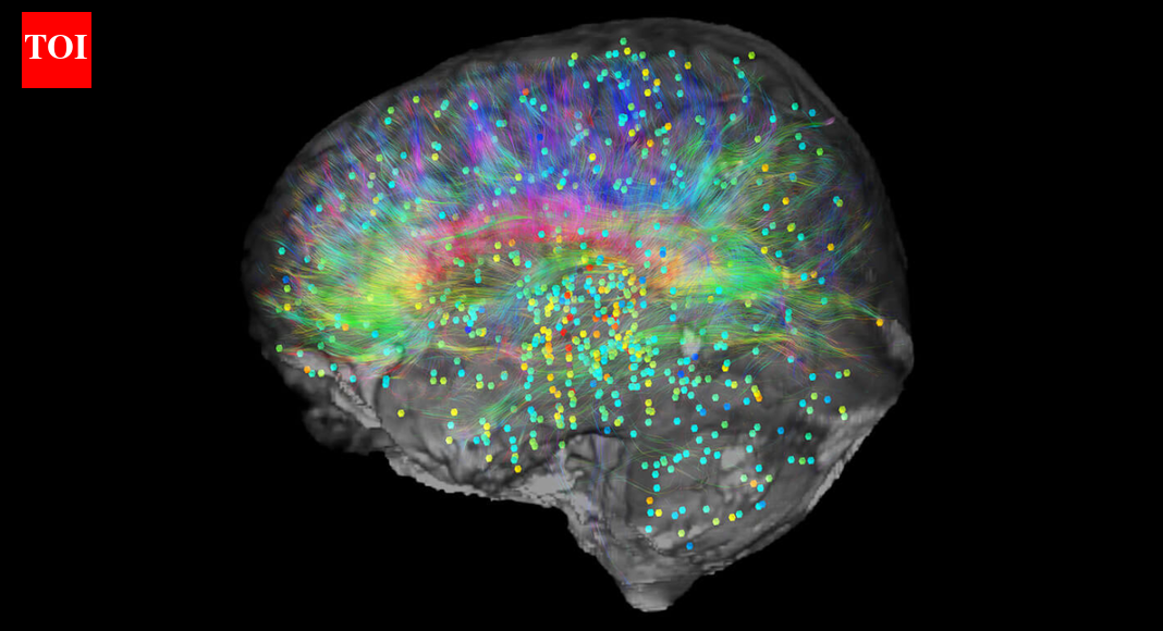 Professor’s radical theory claims consciousness doesn’t come from the brain and may continue after death