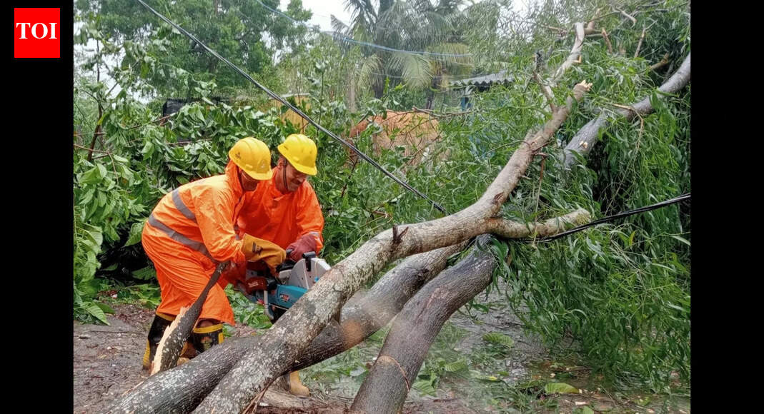 Odisha tree felling vs plantation: 10-year data reveals survival rates
