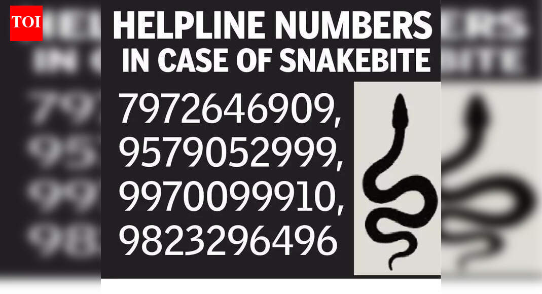 Five die of snake bites in Nov as NGO flags poor awareness
