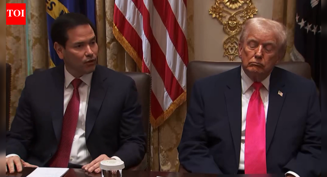 Donald's sleepy Joe moment? Gavin Newsom shares video of Trump ‘sleeping’ in his cabinet meeting - watch