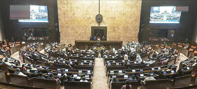 Insolvency process slowing, Parl panel calls for reforms