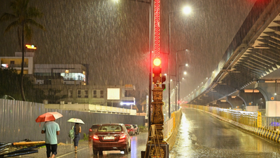 Cyclone Ditwah: 4 dead, thousands of homes and crops destroyed in Tamil Nadu; key points