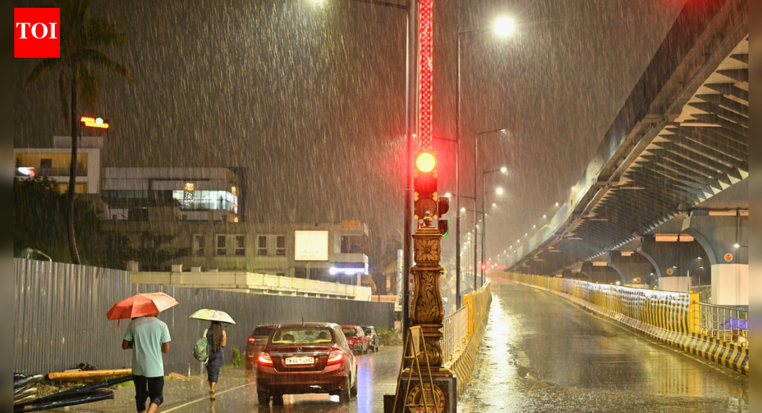 Cyclone Ditwah: 4 dead, thousands of homes and crops destroyed in Tamil Nadu; key points