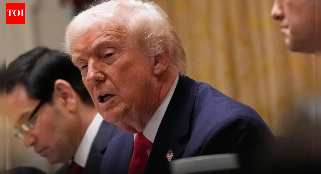 ‘Your country stinks’: Donald Trump says Somalis 'come from hell and do nothing but complain' - watch