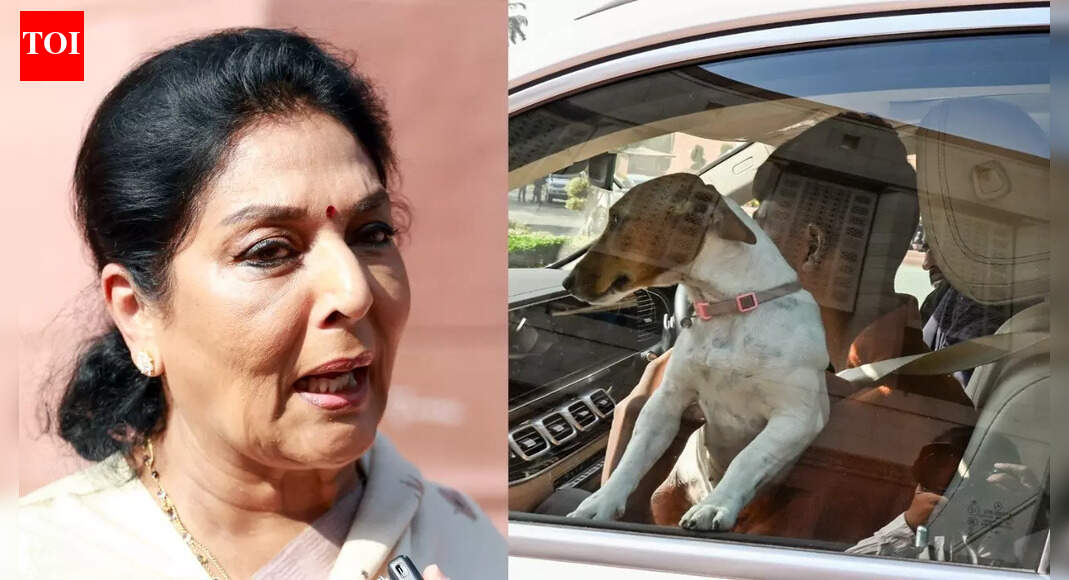 Dog remark row: Congress MP Renuka Chowdhury’s ‘bhow bhow’ reply to question on privilege motion — watch