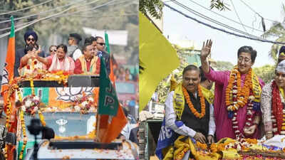 Delhi MCD bypoll results: BJP holds its turf with 7 wins; AAP gains 3 as Congress, Forward Bloc score solitary wins