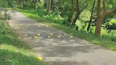 Researchers develop spherical cap studs as a comfortable alternative to traditional speed bumps