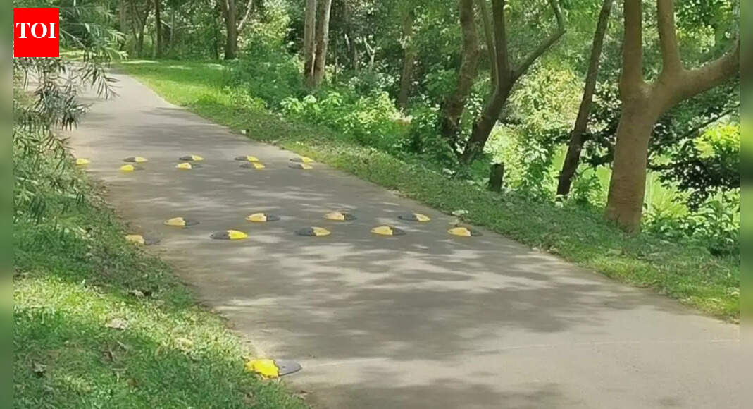 Researchers develop spherical cap studs as a comfortable alternative to traditional speed bumps