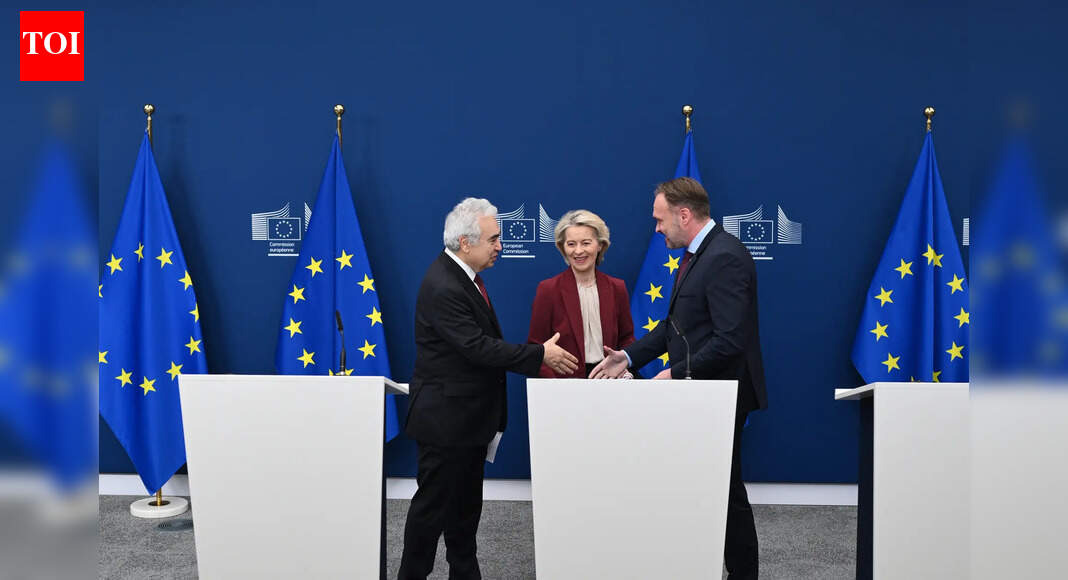 EU says no to Russian gas: European Union aims to ban supply by 2027 - What is the whole plan?