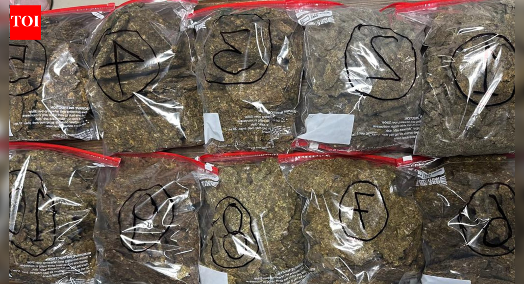 DRI seizes 12.7kg high-grade hydroponic cannabis worth Rs 12.7 crore at Lucknow airport