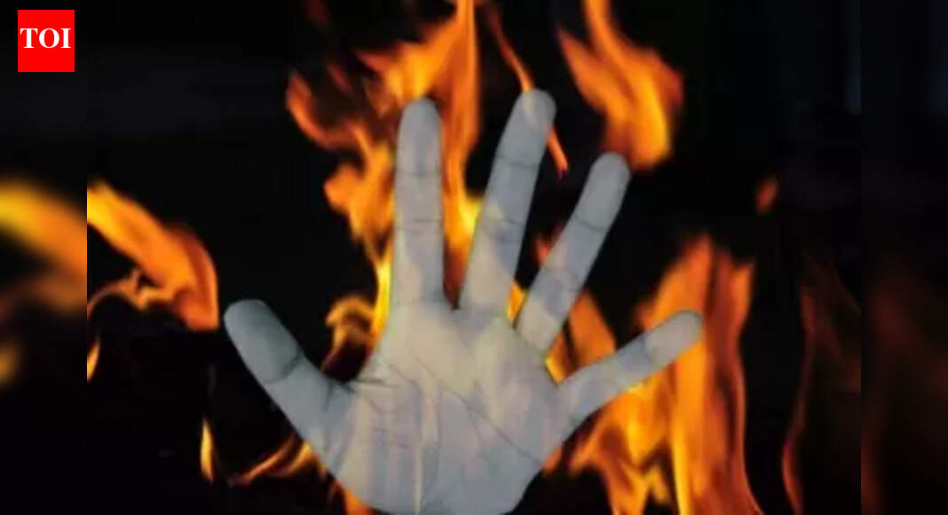 Two siblings burned alive in Supaul