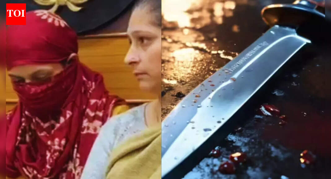 Haryana’s 'serial killer mom': How one locked storeroom exposed chilling trail of kids drowned in tubs