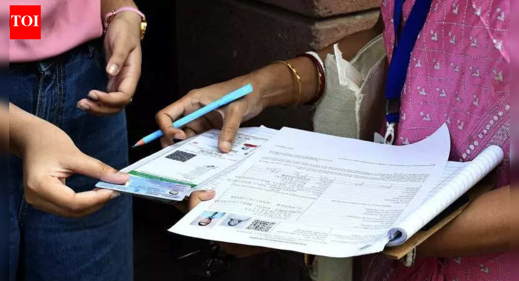 'I was terrified': Chhattisgarh woman missing for 13 years returns home; SIR document query leads her back