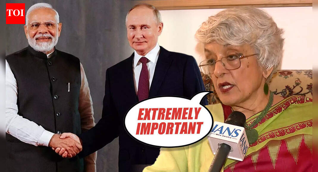 'Extremely Important': Ex-Diplomat Veena Sikri On Putin's Delhi Visit Agenda, India-Russia Ties