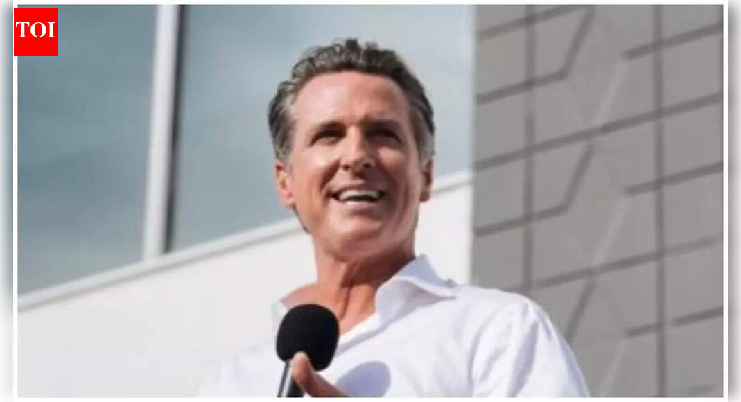 Gavin Newsom urges Democrats to be culturally normal, slams Fox as 'Pravda' for Trump