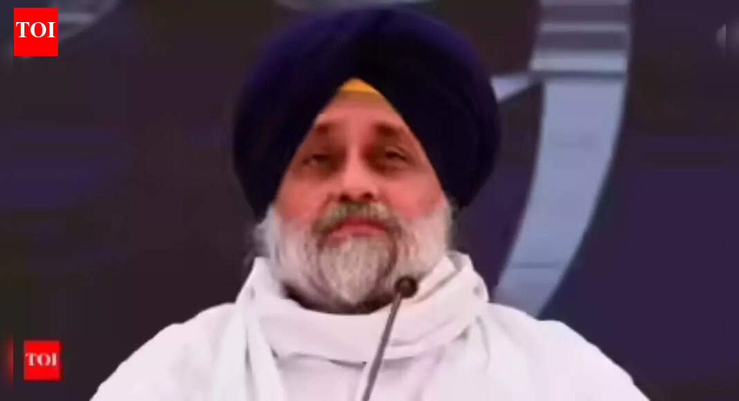 Patiala elections: Akali Dal alleges police plot to block opposition nominations; SSP calls audio clip fake