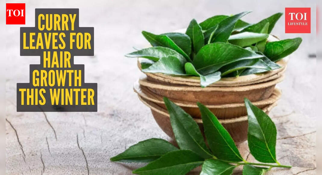 Curry leaves for hair growth: How to use kadi patta for hair growth this winter