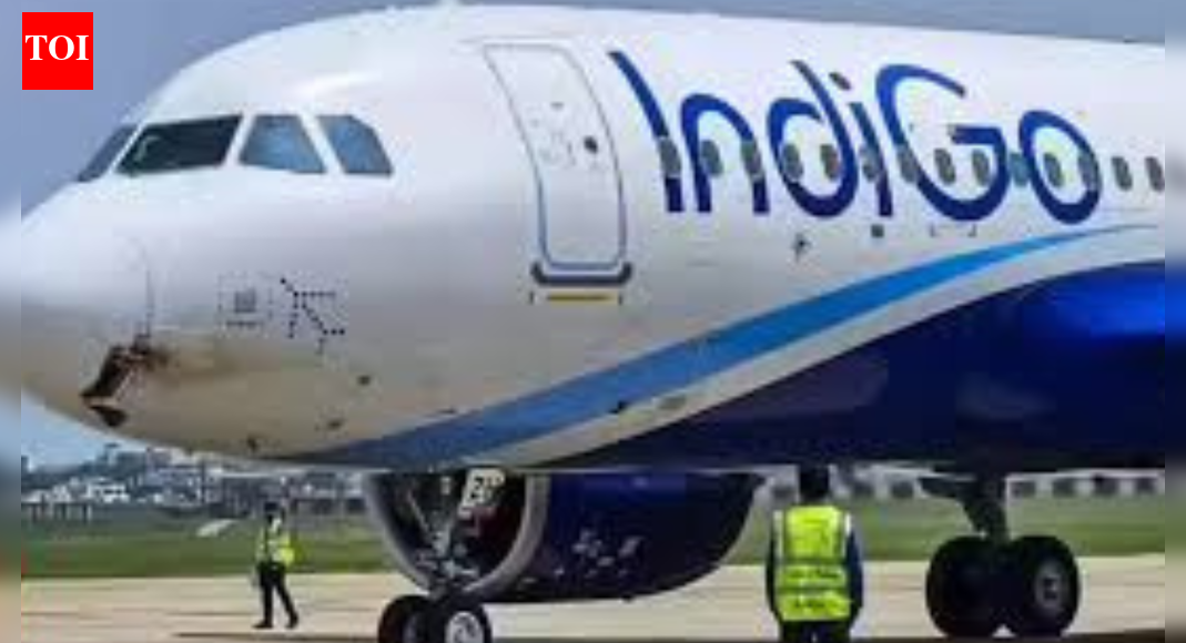 At 19.7%, IndiGo on time performance rock-bottomed on Wednesday