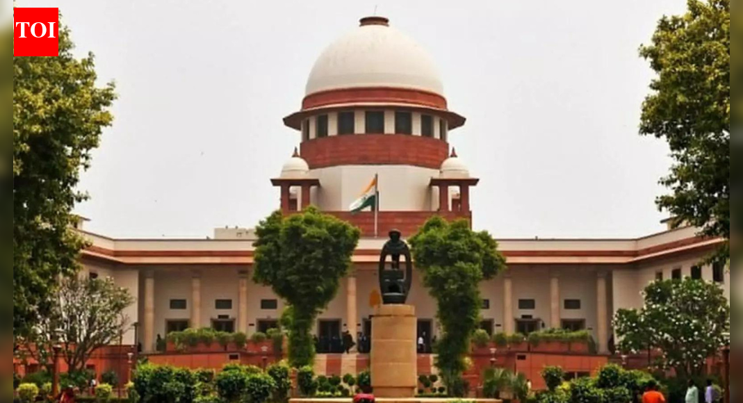 'Obligated to provide': SC tells states to deploy more staff for SIR; TVK plea flags BLO plight