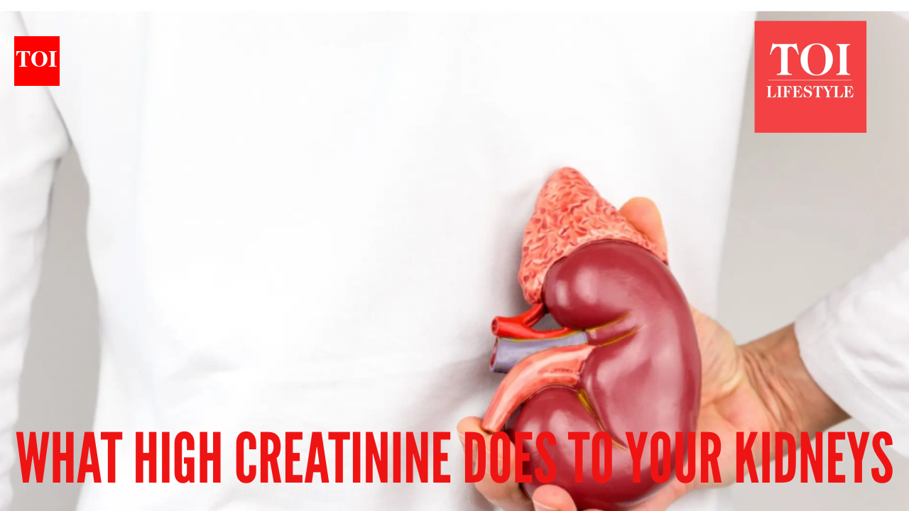 High Creatinine Affects: What happens when your creatinine levels are ...