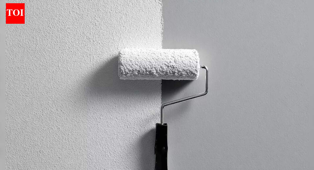 कैसे सर्दियों की रोशनी दीवार के रंग को गहरा बना देती है और सही टोन चुनने के लिए विशेषज्ञ युक्तियाँ |