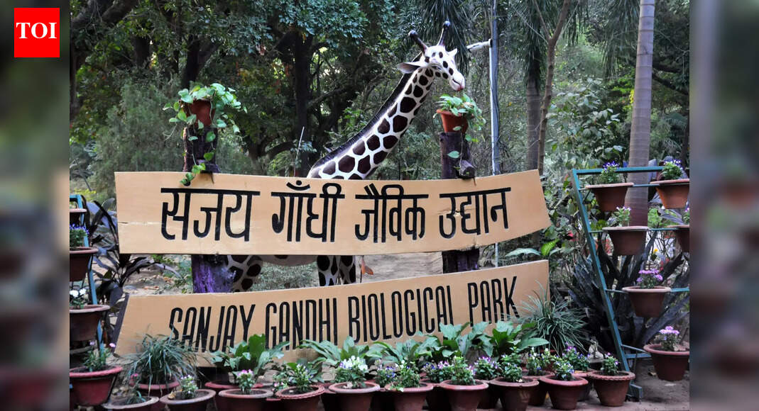 Patna zoo ramps up winter care for animals with heaters, enriched diets