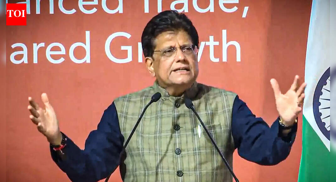 Piyush Goyal Hails Russia As India’s Trusted Friend, Urges Removal Of Trade Barriers