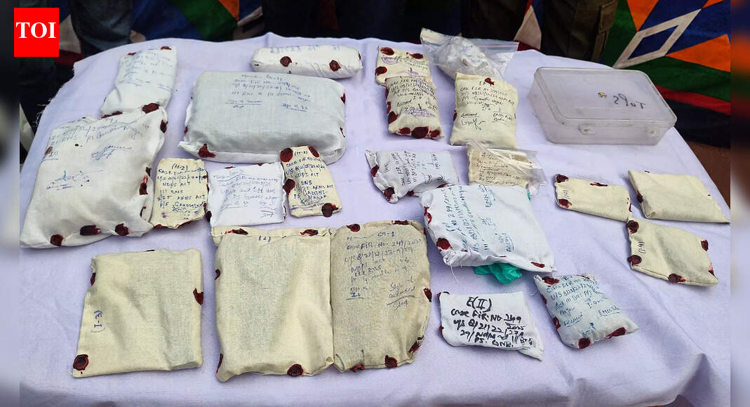 <div>J&K Police bust Pak-linked narco-terror syndicate; 6 held with 5kg heroin, 3 pistols</div>