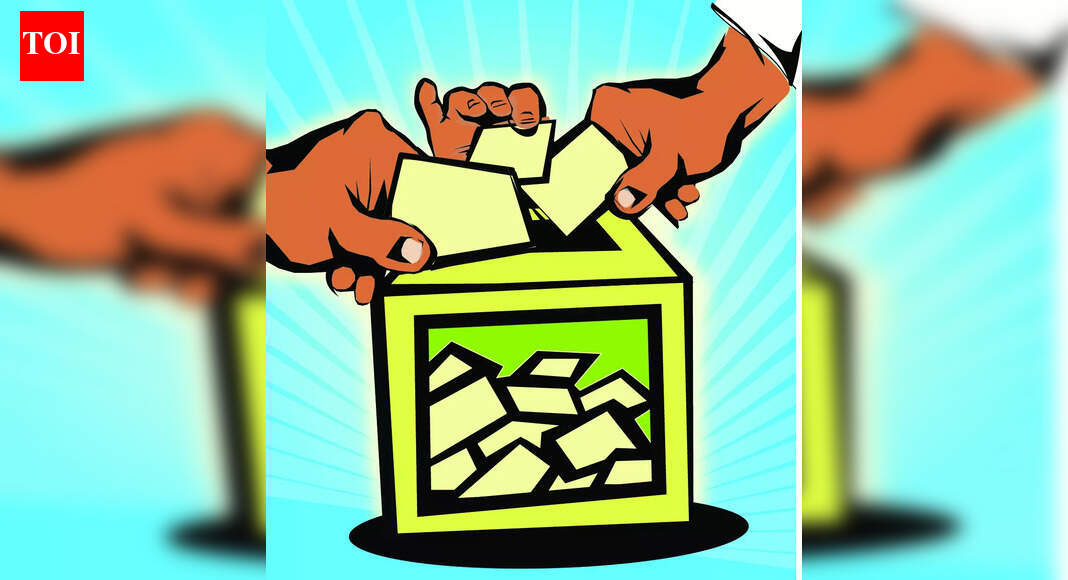 ZP election expected to be fierce amid divided opposition