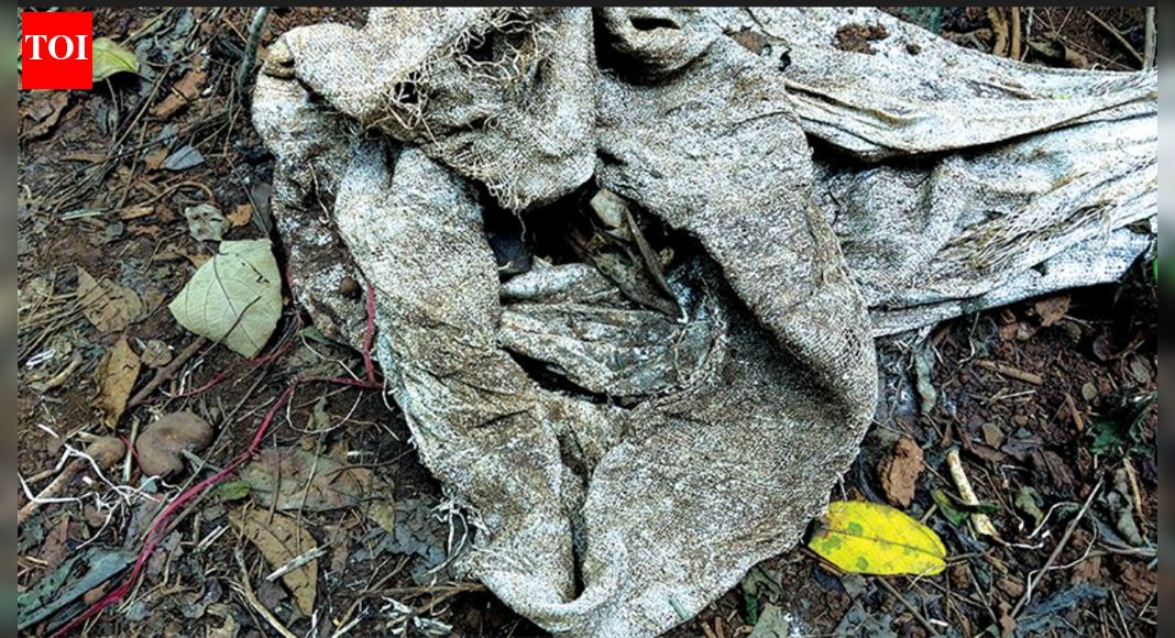 Vet examines bones found near cow shed at Nirankal