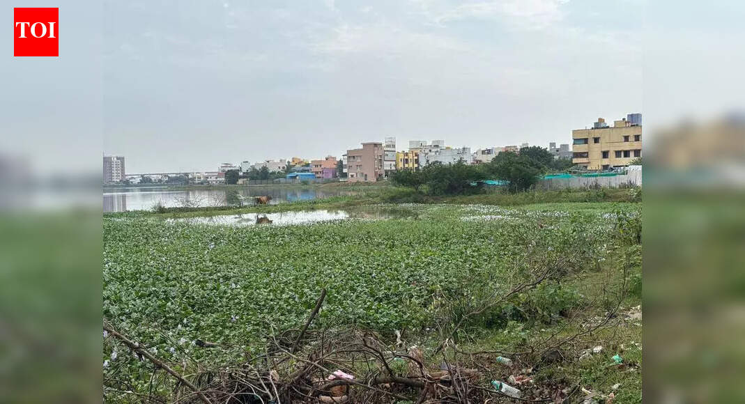 WRD’s Retteri reservoir project lies in limbo | Chennai News - The ...