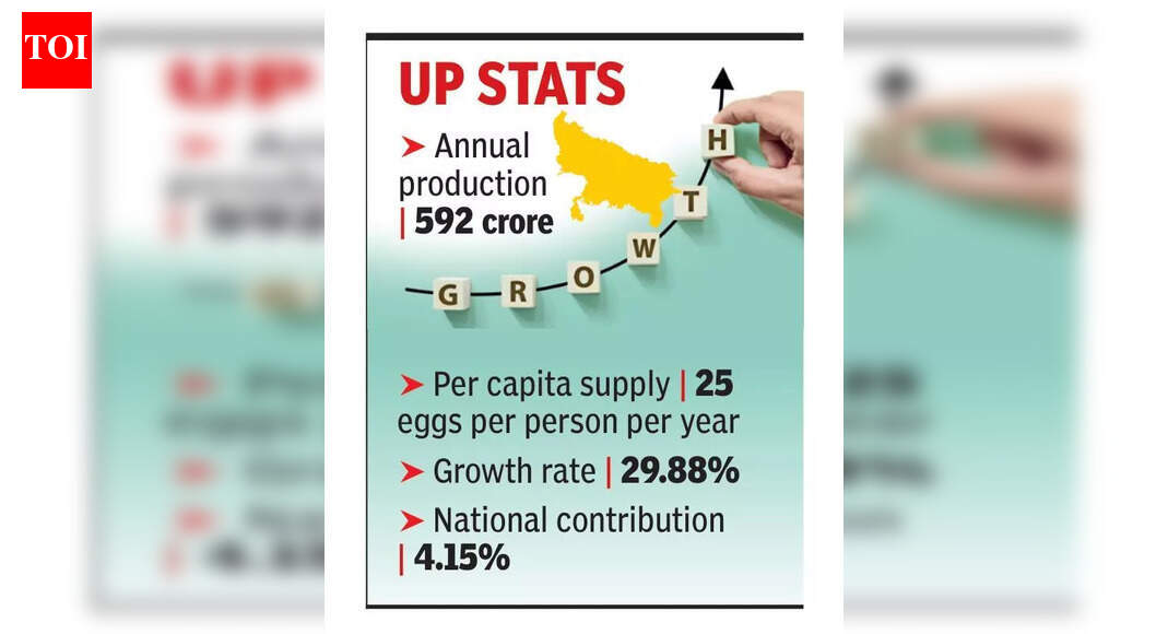 To fix demand-supply gap, UP to promote egg production | Lucknow News