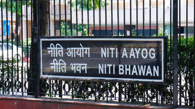 Niti panel backs licences, permits for perpetuity