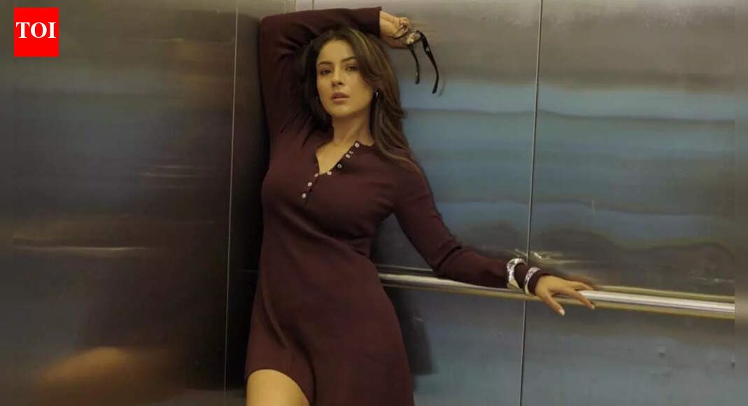 Shehnaaz Gill says she’s been used as a ‘prop’ in films, reveals why she invested her own money, 'Why are we just running behind Bollywood?'