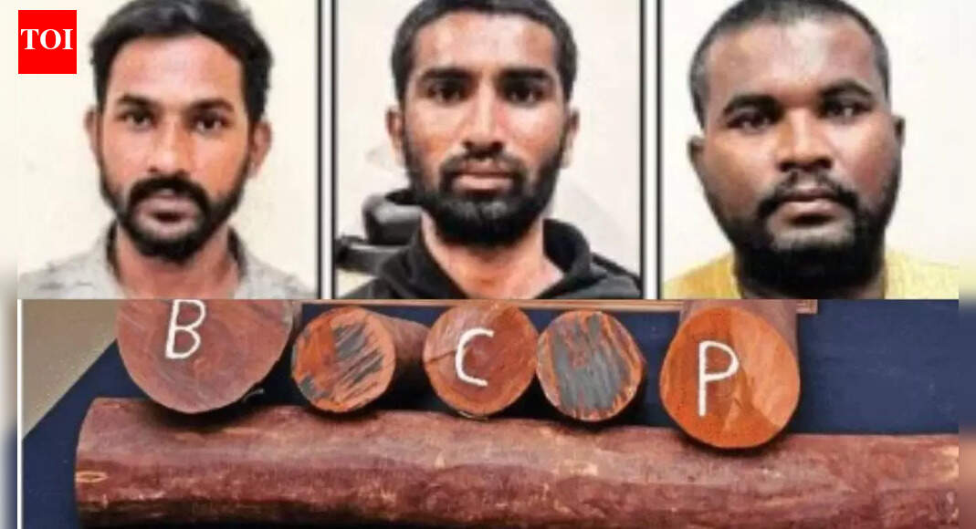 Inspired from 'Pushpa'? How 137km ‘thriller chase’ between Bengaluru and Tirupathur helped police crack major red sandalwood syndicate