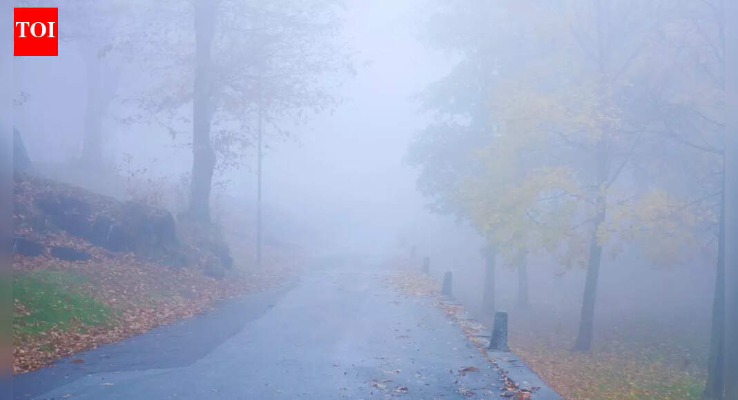 IMD predicts fog, cold wave and rainfall across multiple regions; what this means for travellers