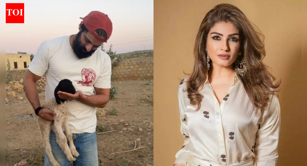 Raveena Tandon Lauds Mohit Maalik for Rescuing Baby Sheep on Highway