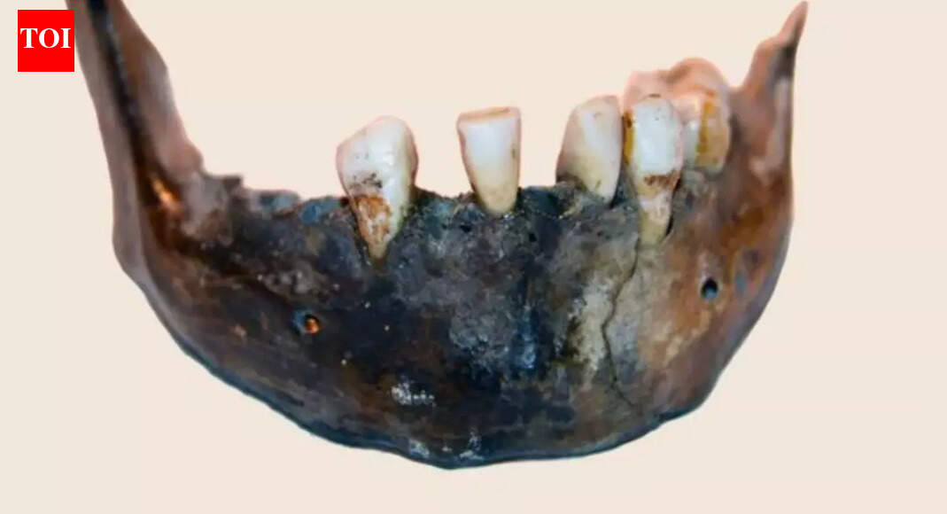 Human evolution mystery unlocked: How 100,000 years of isolation in southern Africa revealed hidden secrets of ancient DNA and our evolutionary history