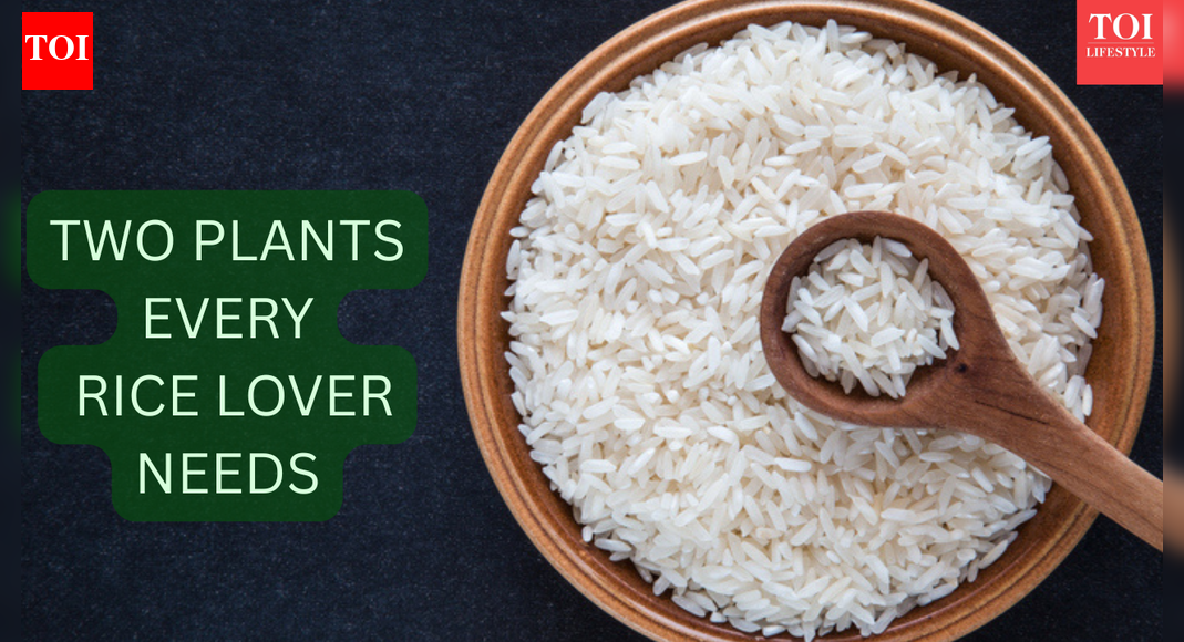 Why all rice lovers should grow these two plants at home